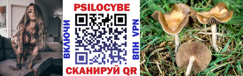 Псилоцибиновые грибы прущие грибы Северодвинск